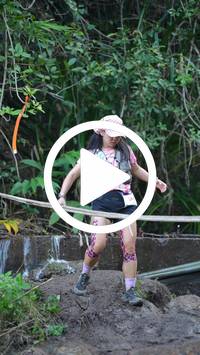 BIB:  <button type="button" onclick="openModal(27666059)" class="btn btn-primary btn-sm float-right" data-toggle="modal" data-target=".modal-high-quality">
                <i class="fa fa-download"></i> Download
                </button>